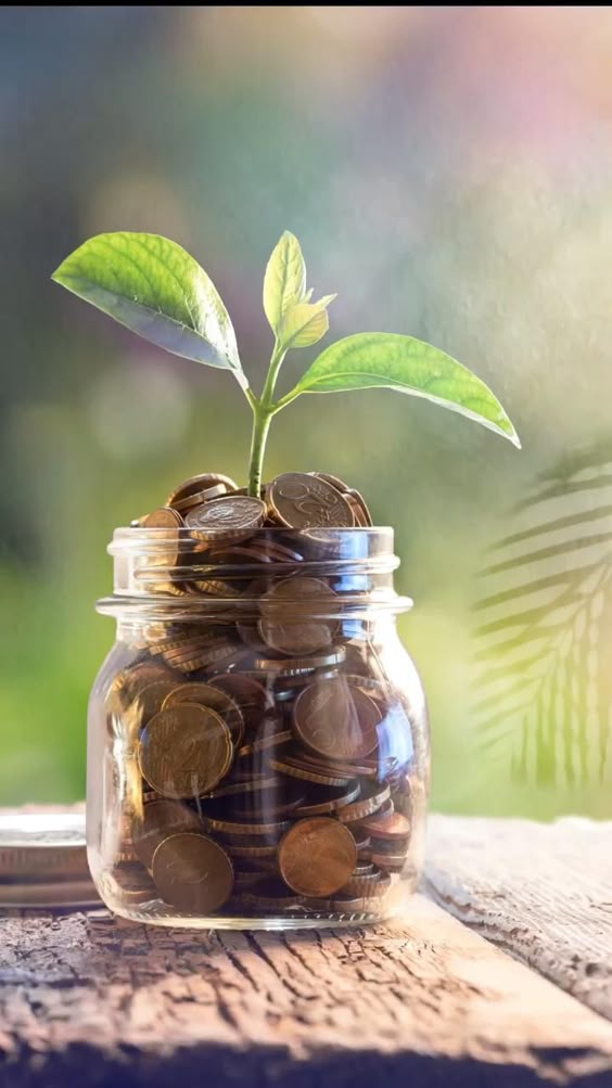 کیفیت محصول همیشگی ما